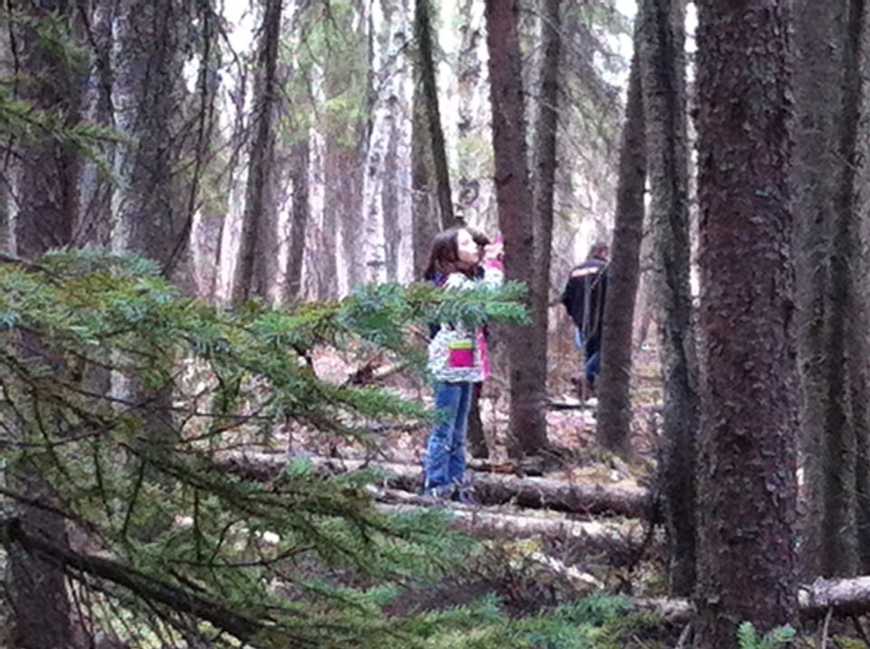 darcilh's tweet photo. Join the wonder. How will you interconnect with nature? https://t.co/7LldK5IKqu