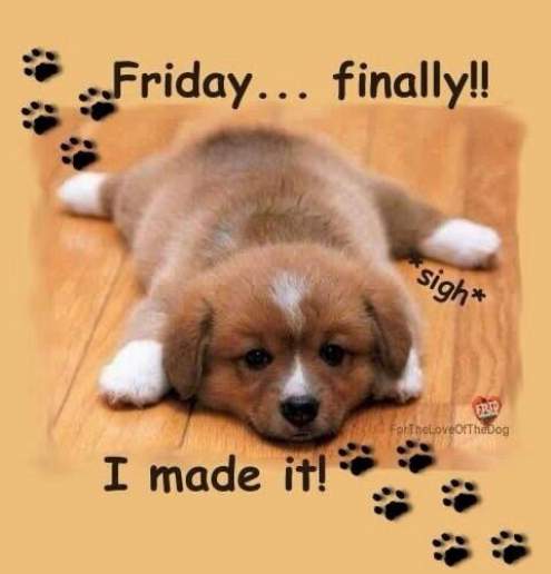 YesFMBoracay's tweet photo. #HayahayFriday kapwa! ganito rin ba ang peg mo ngayong Biyernes? HAHAHA :-) SUSUNOD na si @ArwanaYesFM911 #YesAtWork https://t.co/IpzhA46SmW
