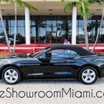 Photo by THE SHOWROOM MIAMI (@THESHOWROOMIAMI)