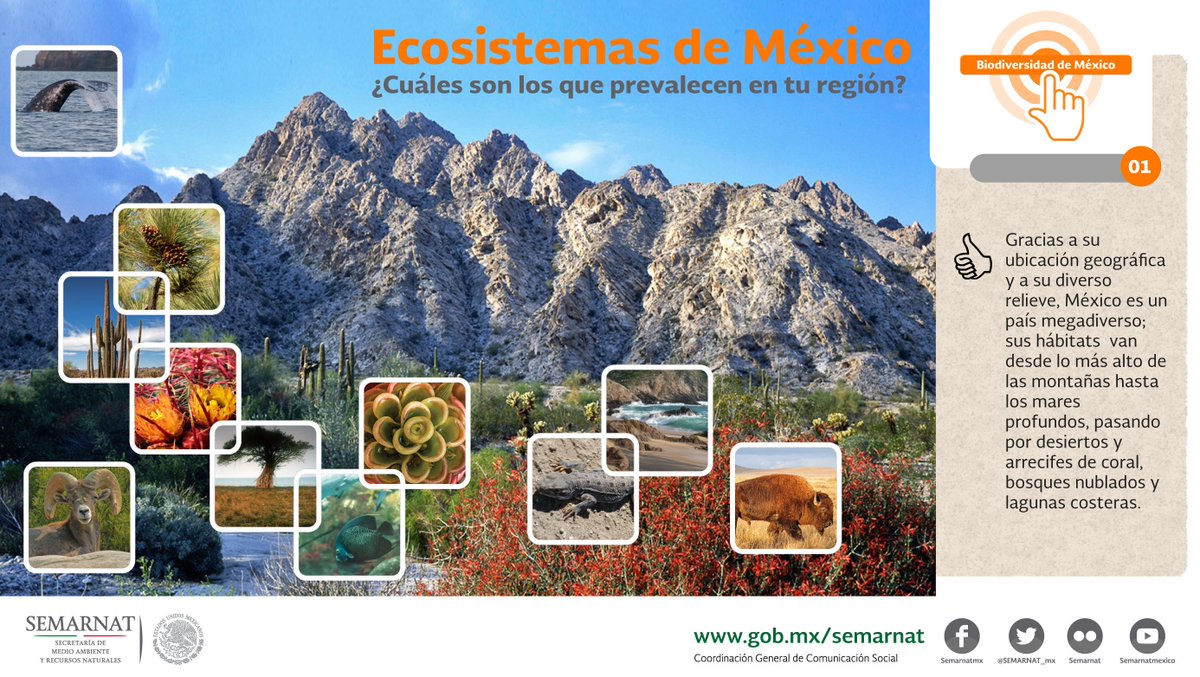 De los ecosistemas en méxico, ¿cuáles son los que