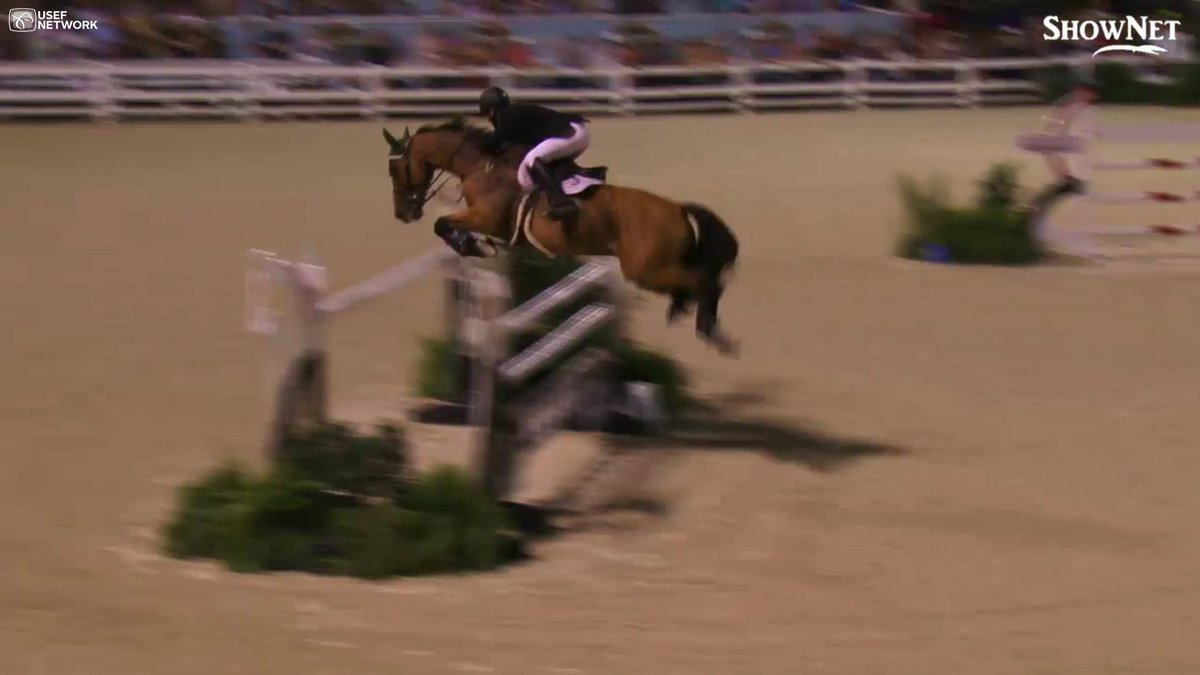 Éce Equestrian tweet media