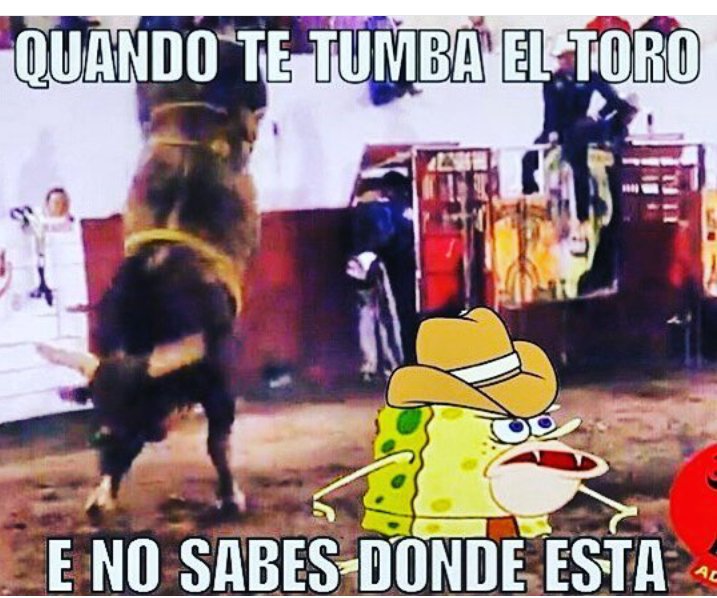 eliipaita's tweet photo. Jinetes potosinos 😂😂😂 https://t.co/2aTZrNgYvR