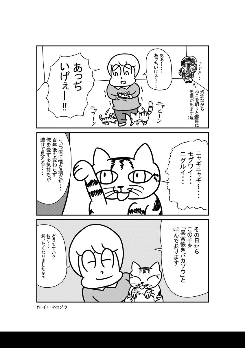 かなしみのねこおすすめ漫画 