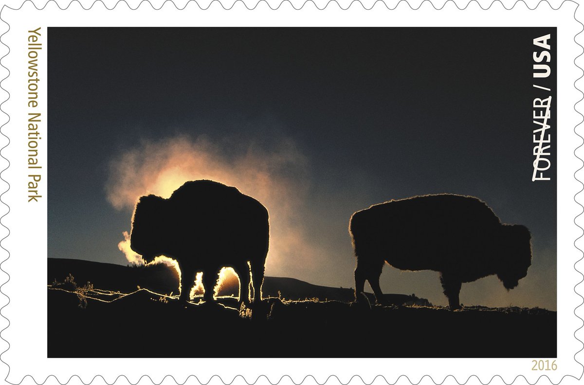 USPS_Wyoming's tweet photo. @WyomingNews365 @CSTribune and this #uspsstamp in celebration of #NPS100 cant hurt! #USPS https://t.co/AXLp2y1wa3