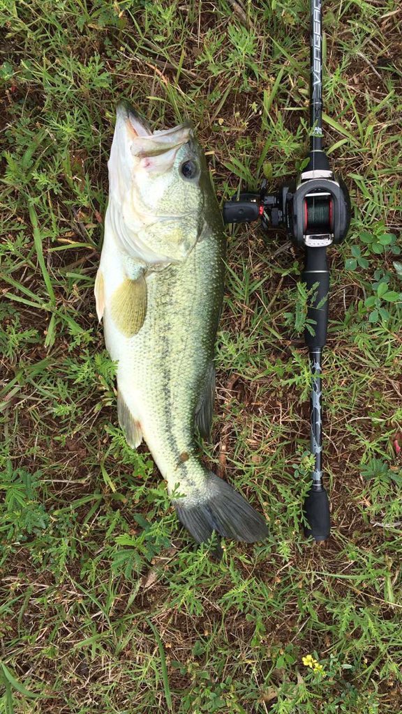 Another one from <a href="/ltrrtl1/">Austin</a>