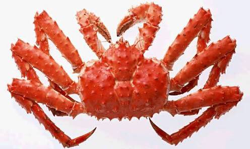 Liphlich 小林孝聡 タラバガニはカニじゃない ヤドカリの仲間 なのでカニは横移動しか出来ないそうだが タラバガニは縦移動も出来るそうだ てか宿は借りてないよね 持ち家だね