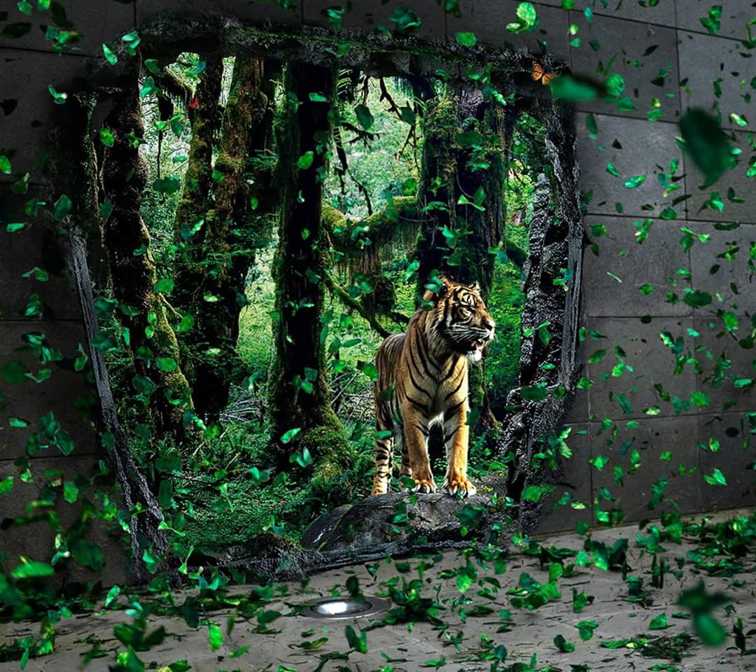 Bhargav_patel29's tweet image. 