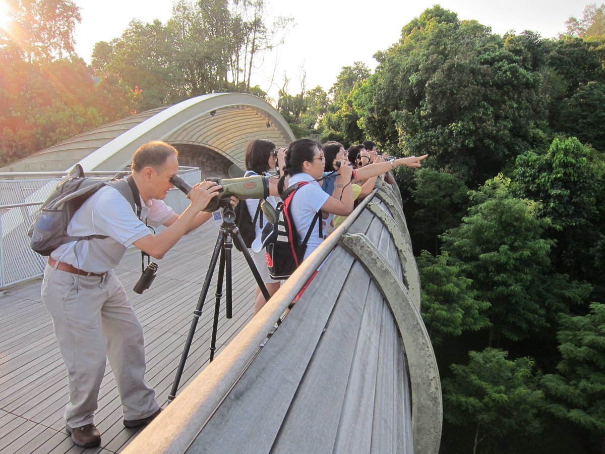 nparksbuzz's tweet photo. If you're thinking of trying something new in our parks, why not start with bird watching? https://t.co/ntGzws3z6k