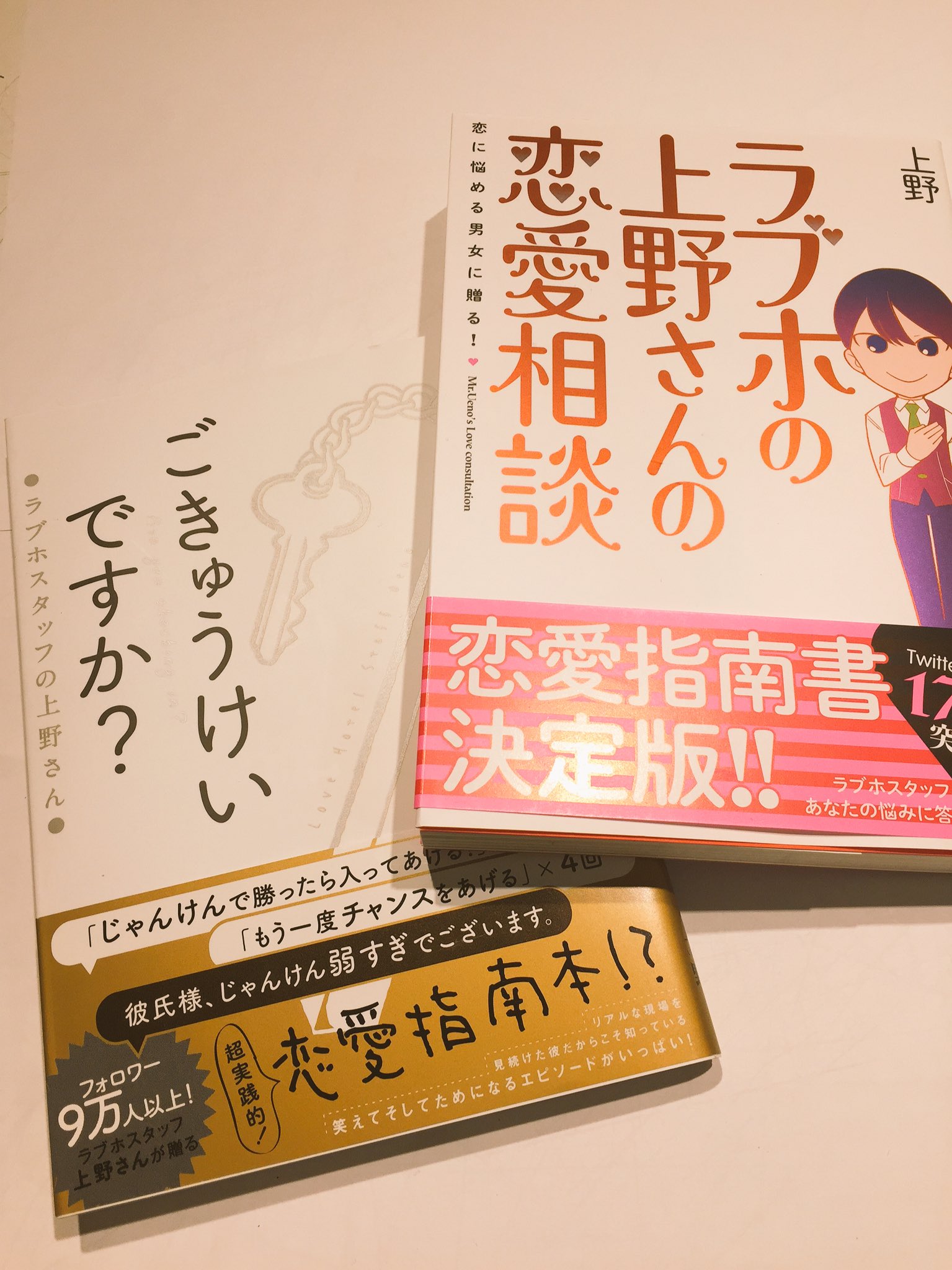 ヴィレッジヴァンガード新潟bp店 Ar Twitter ラブホの上野さん ラブホの上野さんの恋愛相談 並びに ごきゅうけいですか 当店もついに入荷でございます ラブホスタッフだからと侮るなかれ 恋に人生に悩めるそこの男女 いっしょに叫ぼう せーのっ 助け