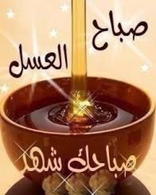 fwfo_foo tweet picture