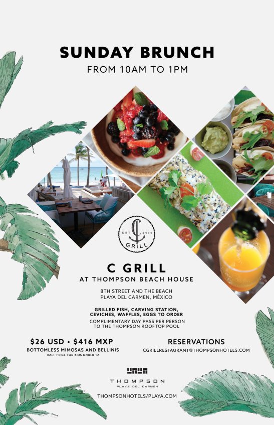 ThompsonPlaya's tweet photo. Join us for brunch by the sea this Sunday, and enjoy bottomless mimosas & bellinis! #ThompsonBeachHouse #CGrill https://t.co/vsJrtVhCkk