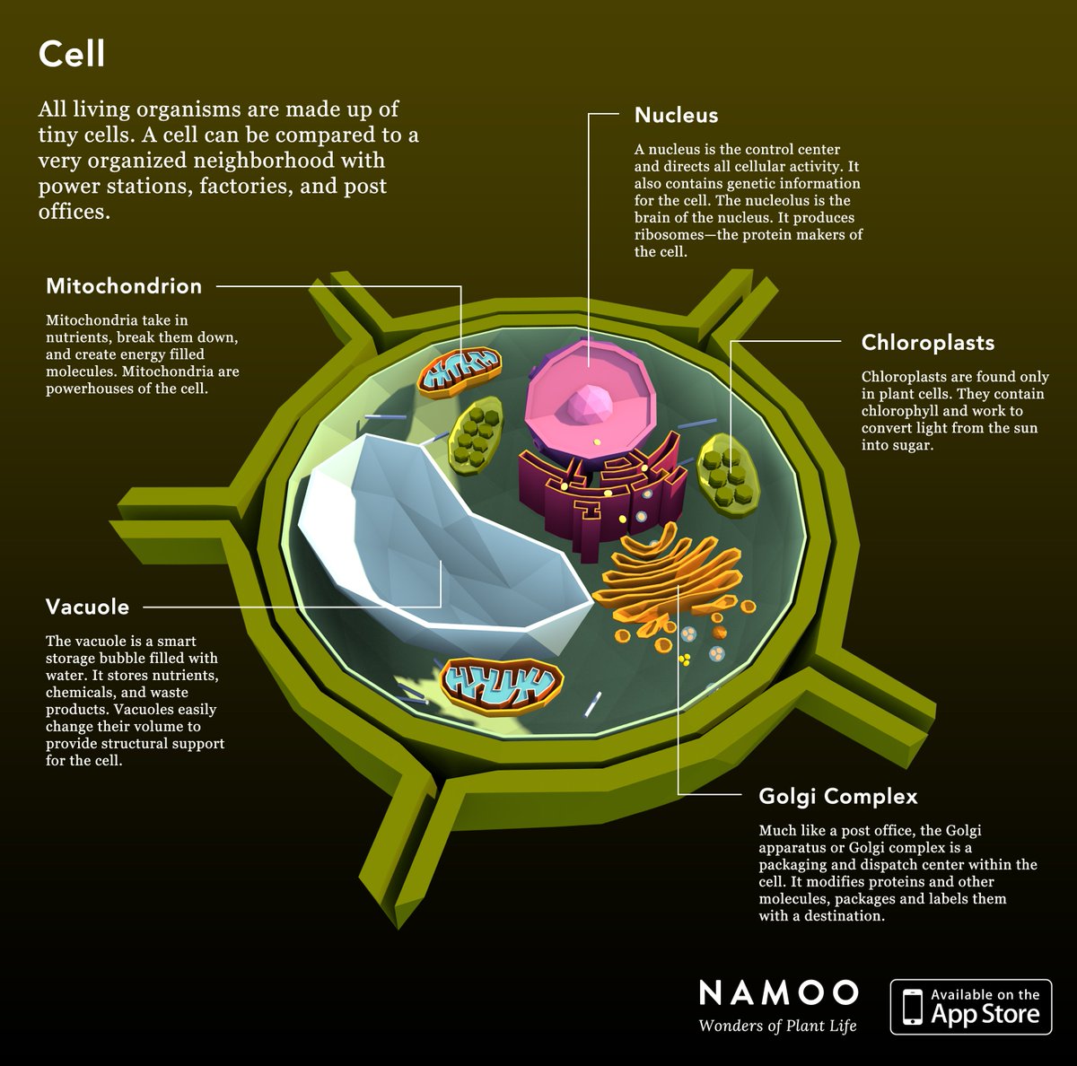 SergeyChalkov's tweet image. A cell you can play with - Show your #kids how proteins are made #STEM #bestappsforkids bit.ly/namooapp
