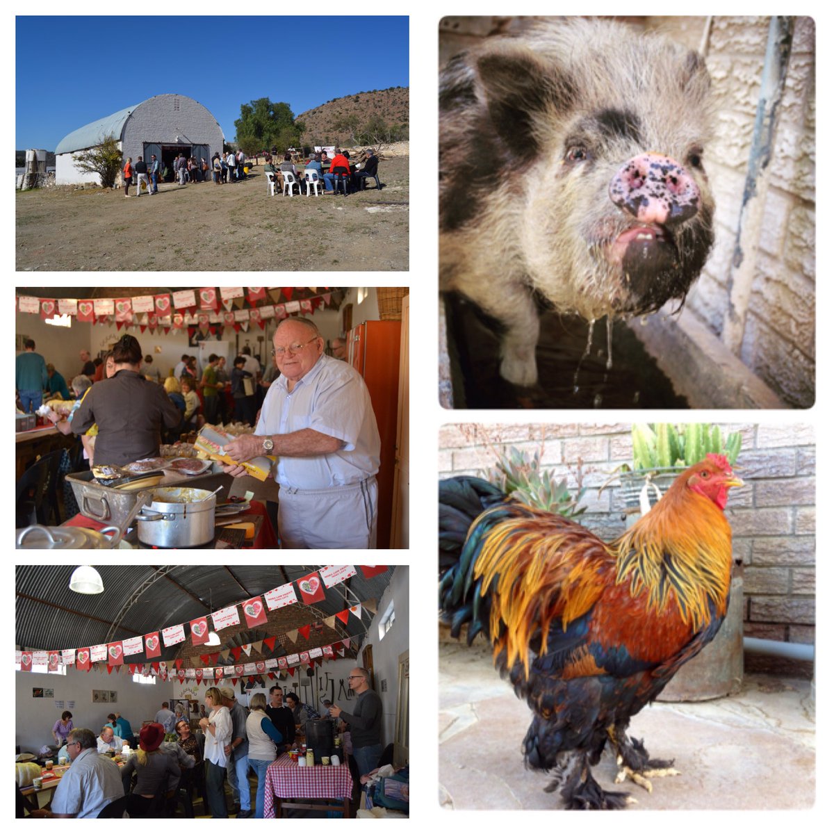 Happy kids @ the #FarmersMarket on Orange Grove farm #Cradock