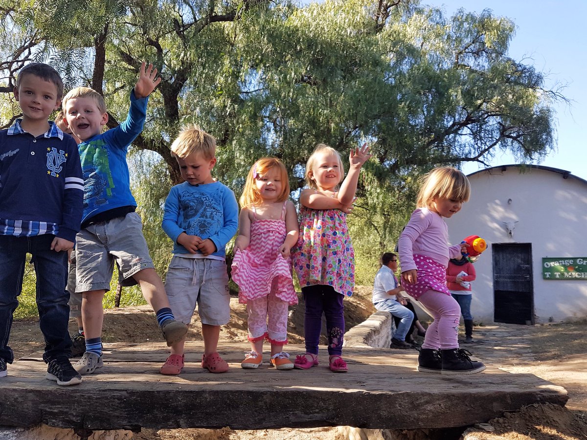 Orange Grove Karoo tweet media
