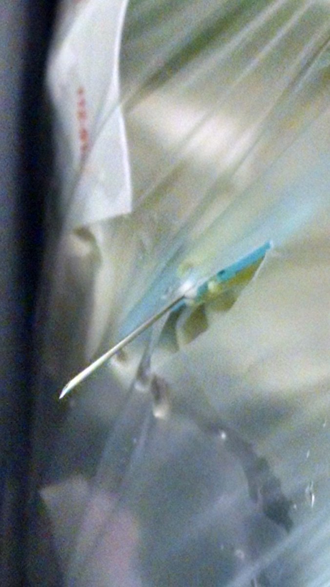 nillrem's tweet photo. Gotta love my job. This is neither a sharps bin nor a bio bag. Wonder what I did that this person wants to infect me https://t.co/kVZZknR98u