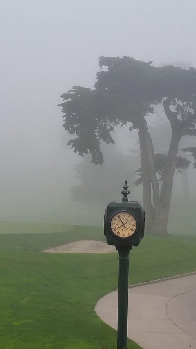 mperrysf's tweet photo. Summer is here #lakemercedgolfclub https://t.co/5Q1RVHGzag