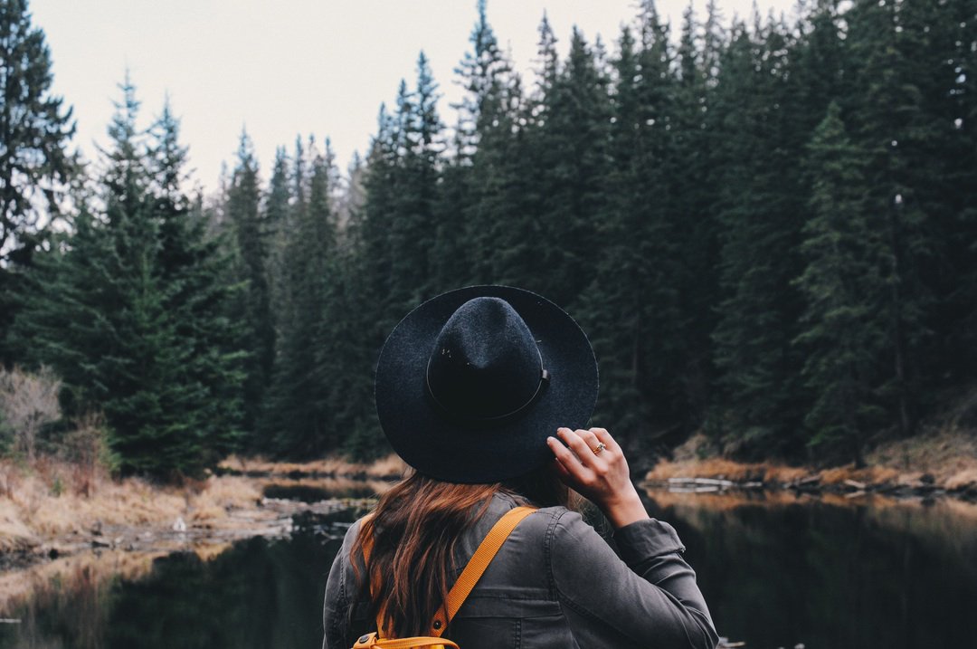 unsplash tweet picture