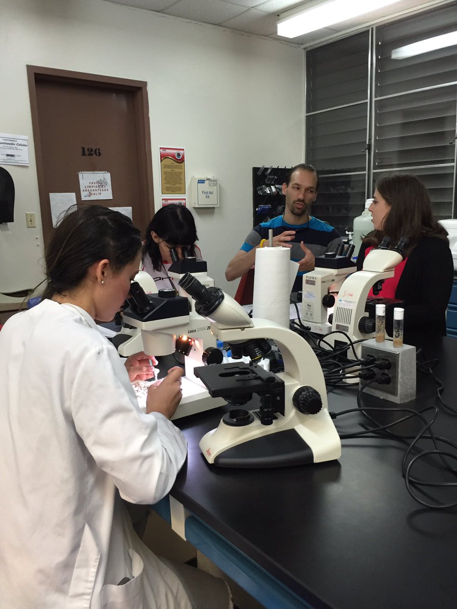 DFB2017's tweet photo. #Gradstudent Jorge Martinez gave us a great look into fly imaginal disks yesterday! #Dfb2016 #science #drosophila https://t.co/nQTV3gt07W