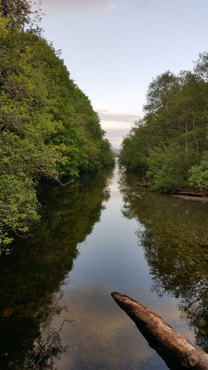 cooke_jules's tweet photo. My home for the last few days. #camping #Glasgow #birthdayfun #adventures #lochlomond https://t.co/qkgV4ly7ZE