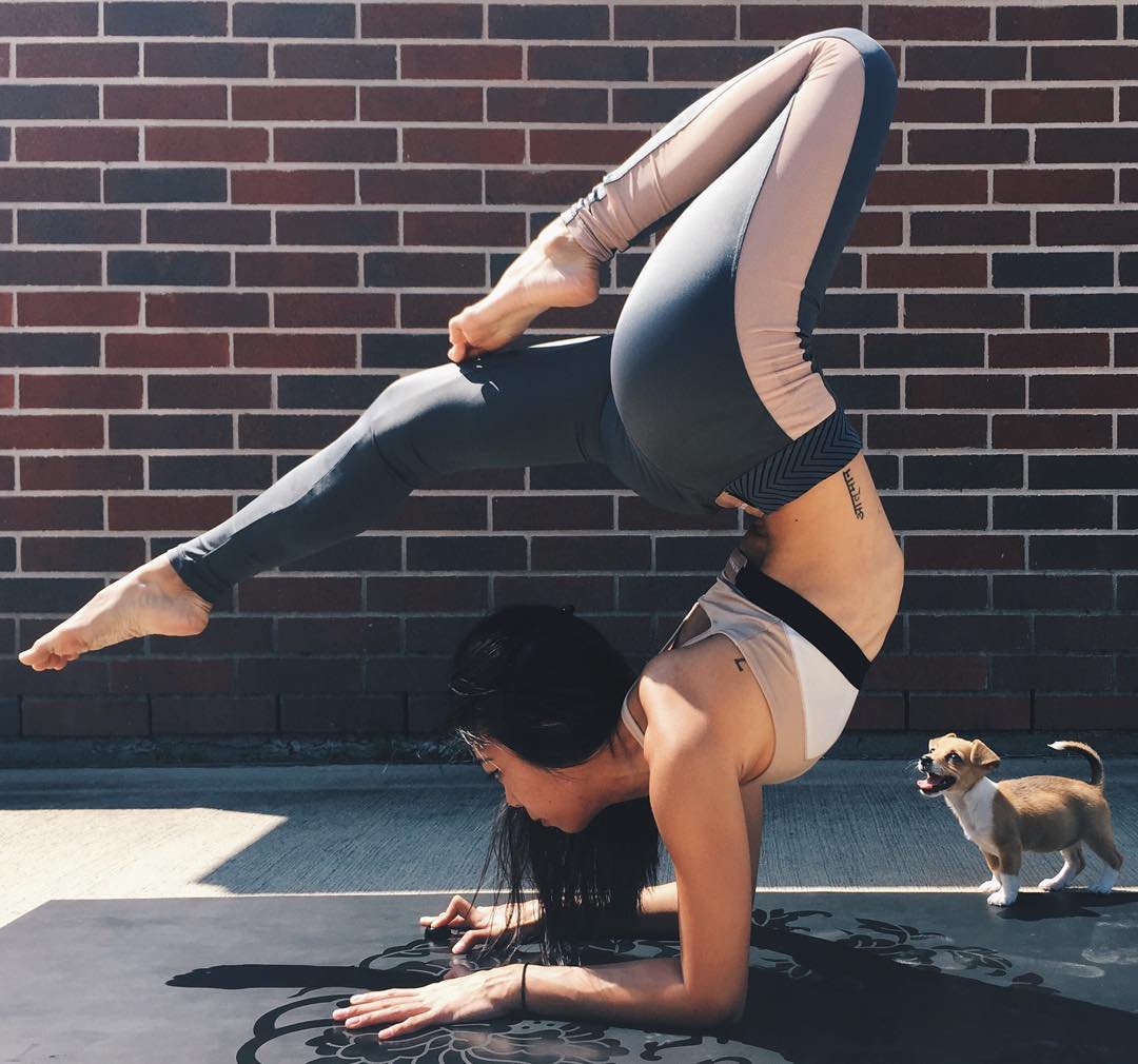 youaligned's tweet photo. "Yoga is the perfect opportunity to be curious about who you are." -Jason Crandell https://t.co/ijyURZYWRR