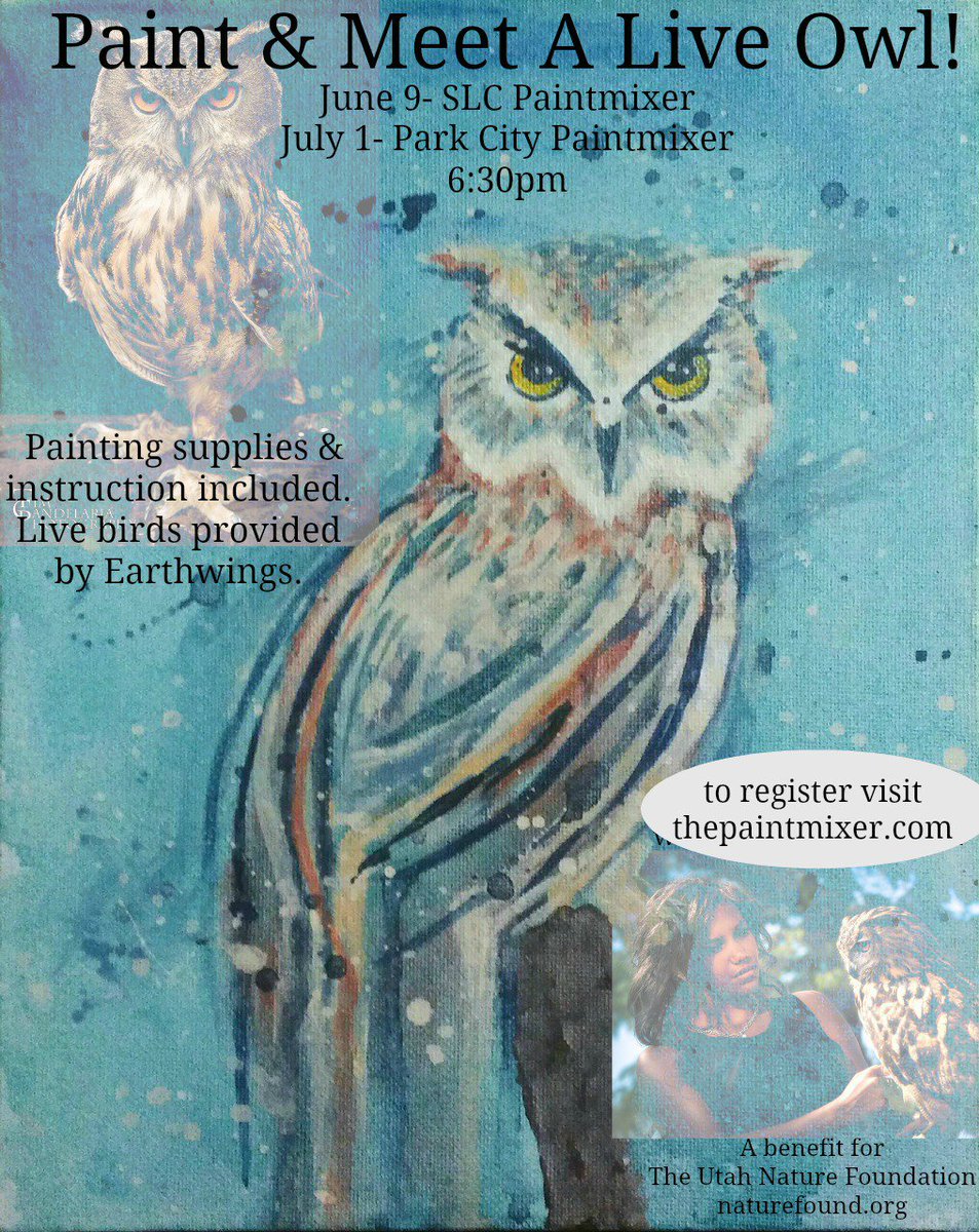 Bubothebird's tweet photo. Come to this event and take home your own painting of me! @Bubothebird #earthwings #thepaintmixer https://t.co/4KAJr0fkbr