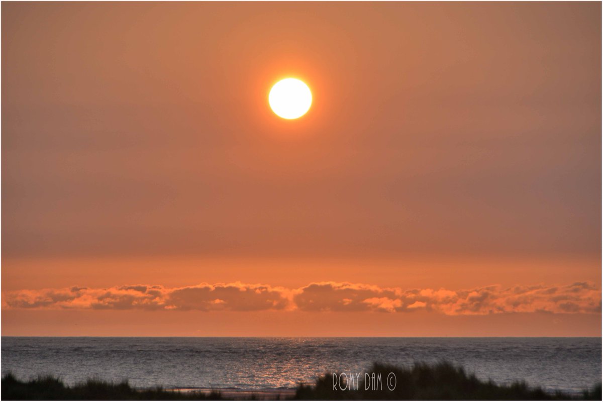 Jeroen Frijters (JeroenFrijters1) Twitter