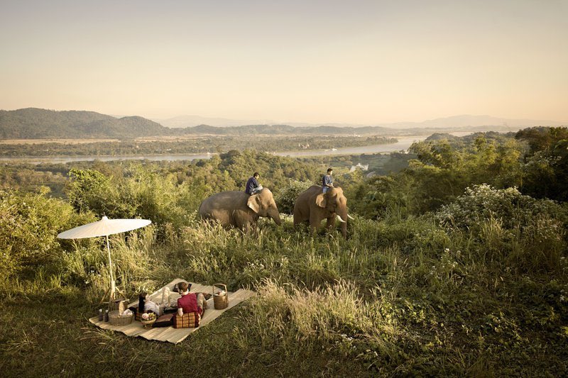 Deversoria's tweet photo. Anantara Golden Triangle Elephant Camp &amp; Resort, Thailand https://t.co/cSCWpSOwMy