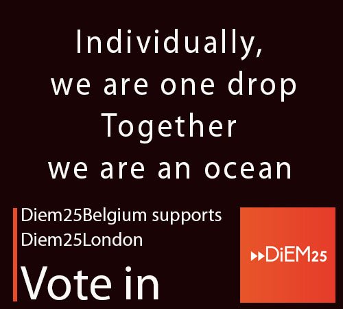 DiEM25 België tweet media