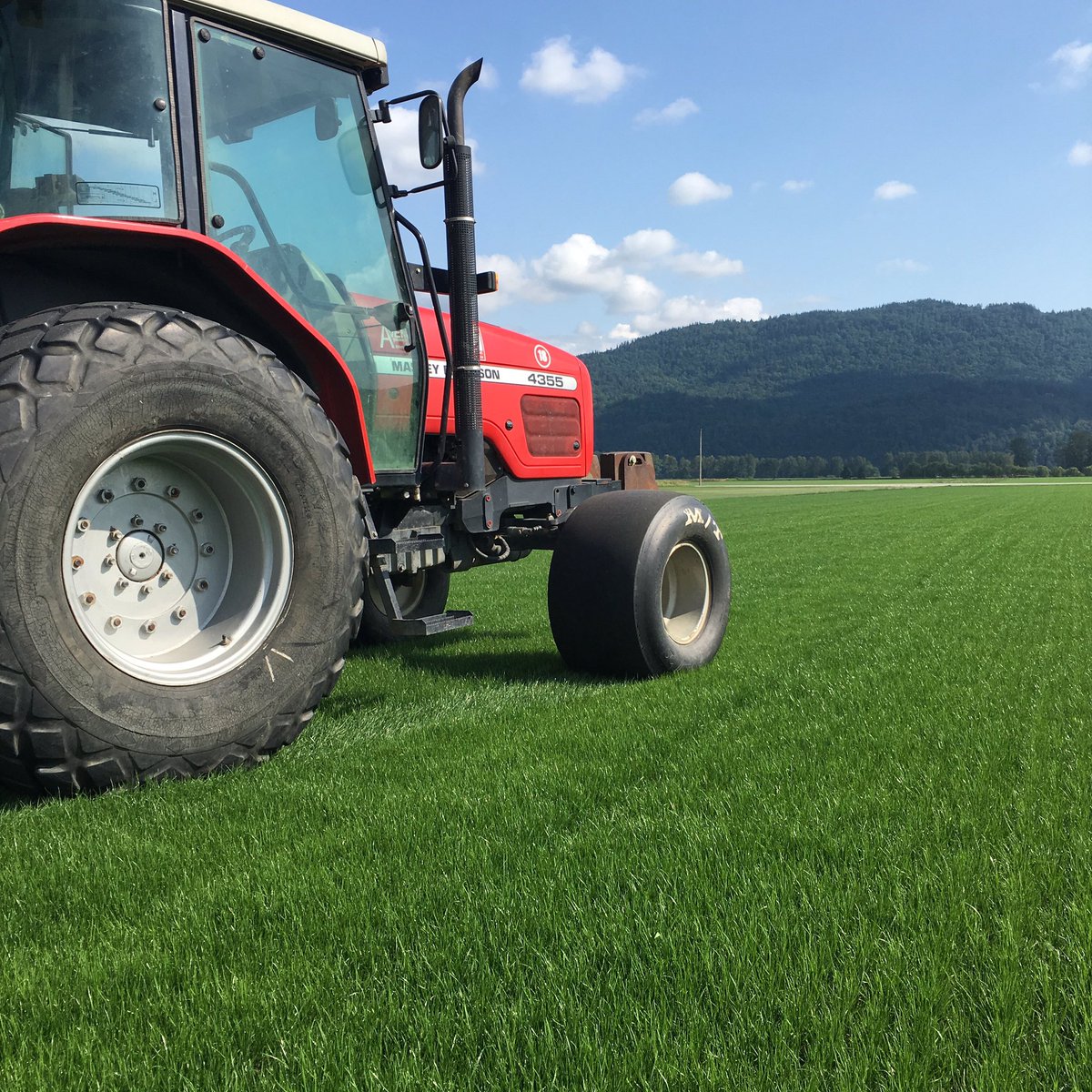 AndersonSodFarm's tweet photo. When you need a great looking lawn. Give us a call. 1-877-826-2383 https://t.co/OO1gTDo9OQ