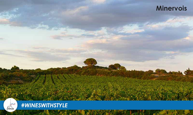 The name Minervois comes from the sceneric village of Minerve, a historical place in the Languedoc region. #wine