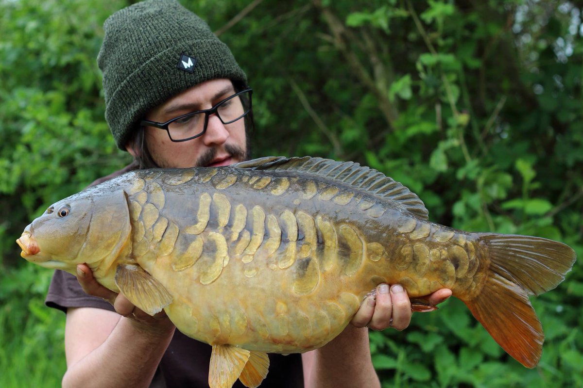 TORBAIT1's tweet photo. #squidandtangerine #jayptecisionhooks #nailed #beaut well in Steven Jones https://t.co/uD0Bl0Fzcu