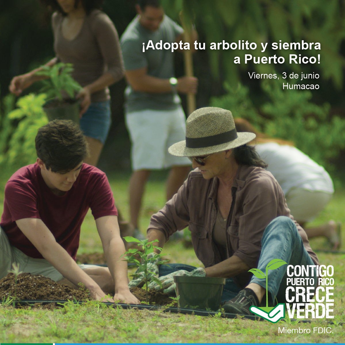 FirstBankpr's tweet photo. Mañana adopta tu arbolito en la sucursal de #IslaVerde desde las 9 a.m. ¡Busca tu arbolito! #CreceVerde #1Bank https://t.co/RsiFTJNdjD