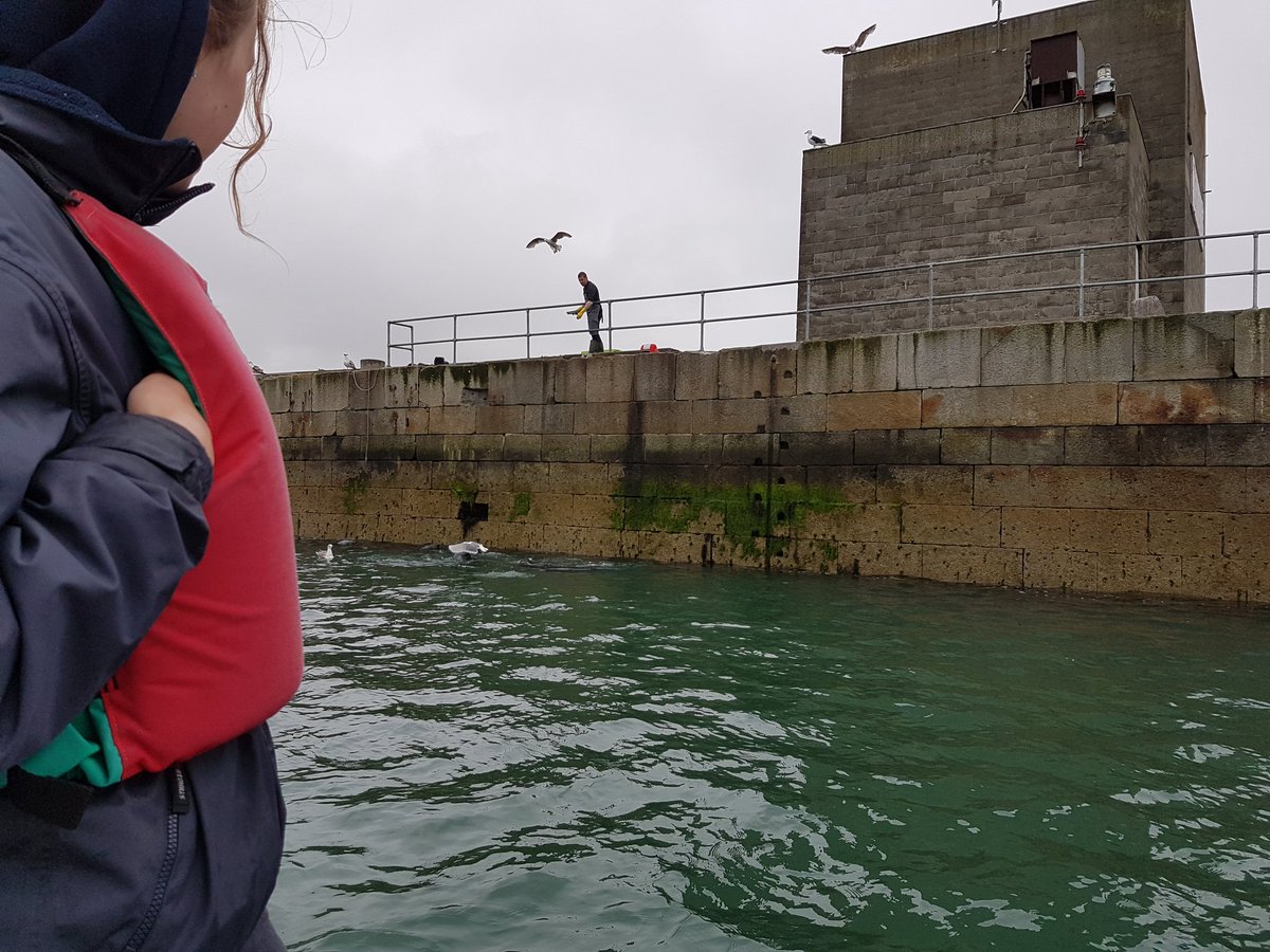 MsZMannixsClass's tweet photo. We had a fantastic tour today in Dun Laoghaire https://t.co/wpp6QFz3pQ