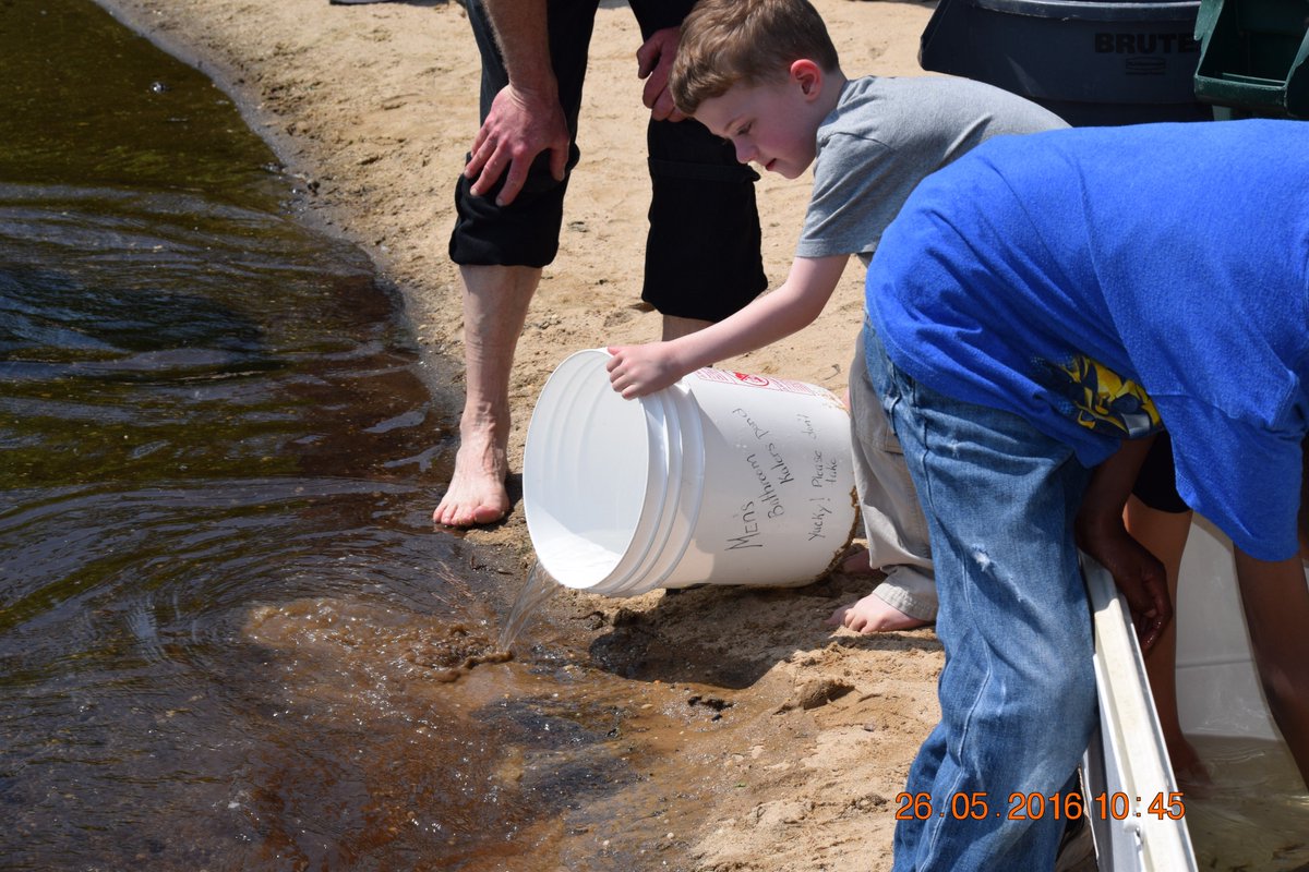 ESMSpecialStar's tweet photo. Releasing the trout into the pond #esmevent #releasethetrout https://t.co/QC43tQIELs