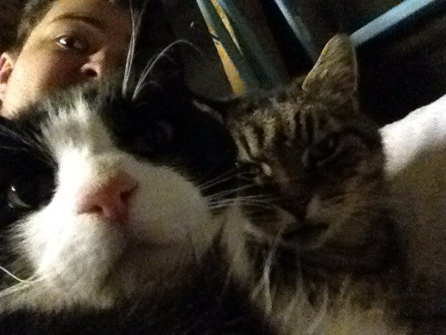 Stef’s Star Wars tweet media