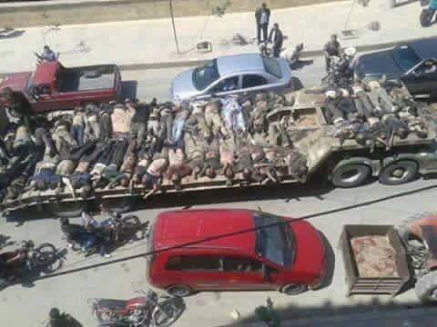 من كرمة الفلوجة الى غربان الخليج سارعوا الى اخذ جثث كلابكم العفنه فأرضنا طاهره لا يدفنون فيها
#الفلوجة_محررين_لامعتد