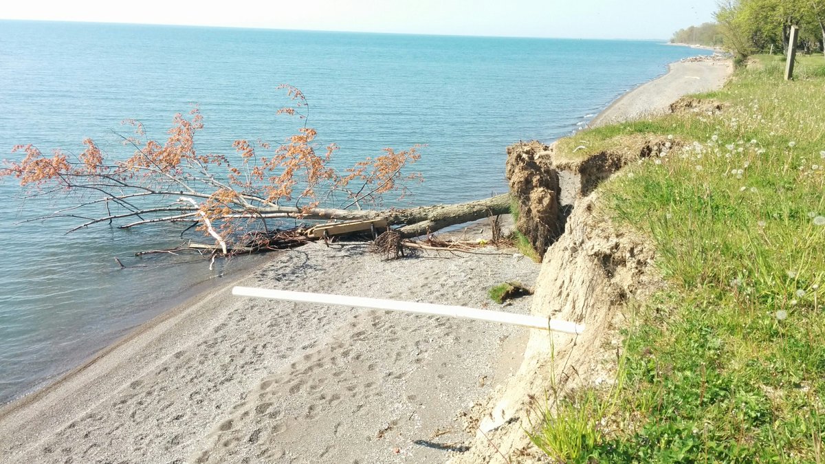 Some significant Lake Erie erosion.