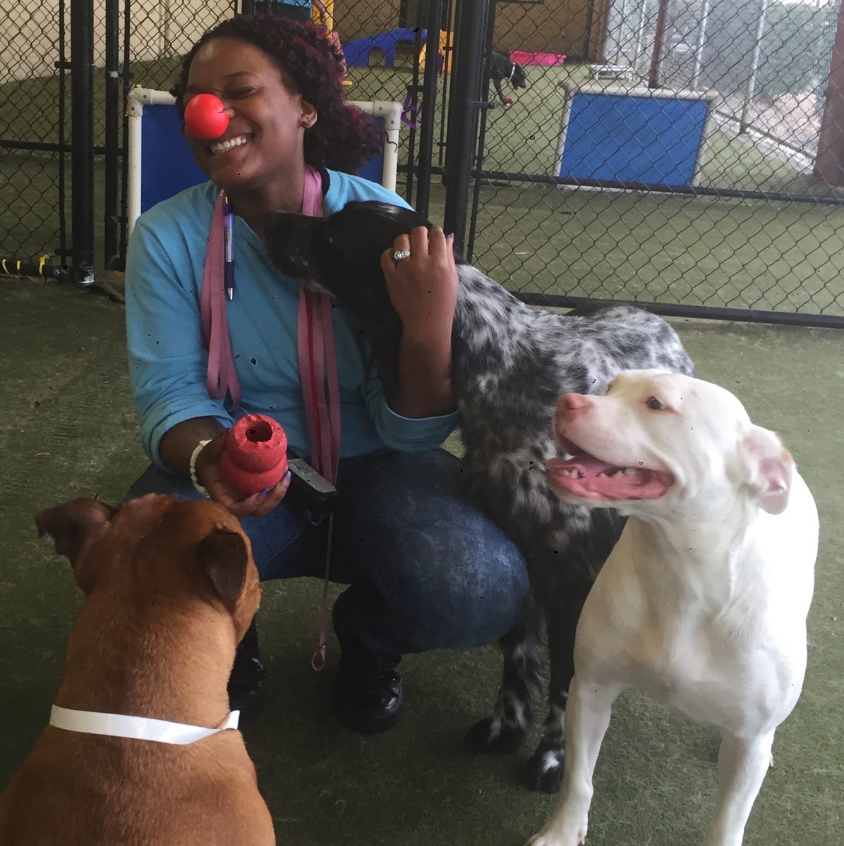 PPRLasColinas's tweet photo. Dogs: why is she wearing the Kong on her nose??? She's so funny!
#RedNoseDay #RedNoseTODAY #petparadise #lascolinas https://t.co/FHGUkgvwU5