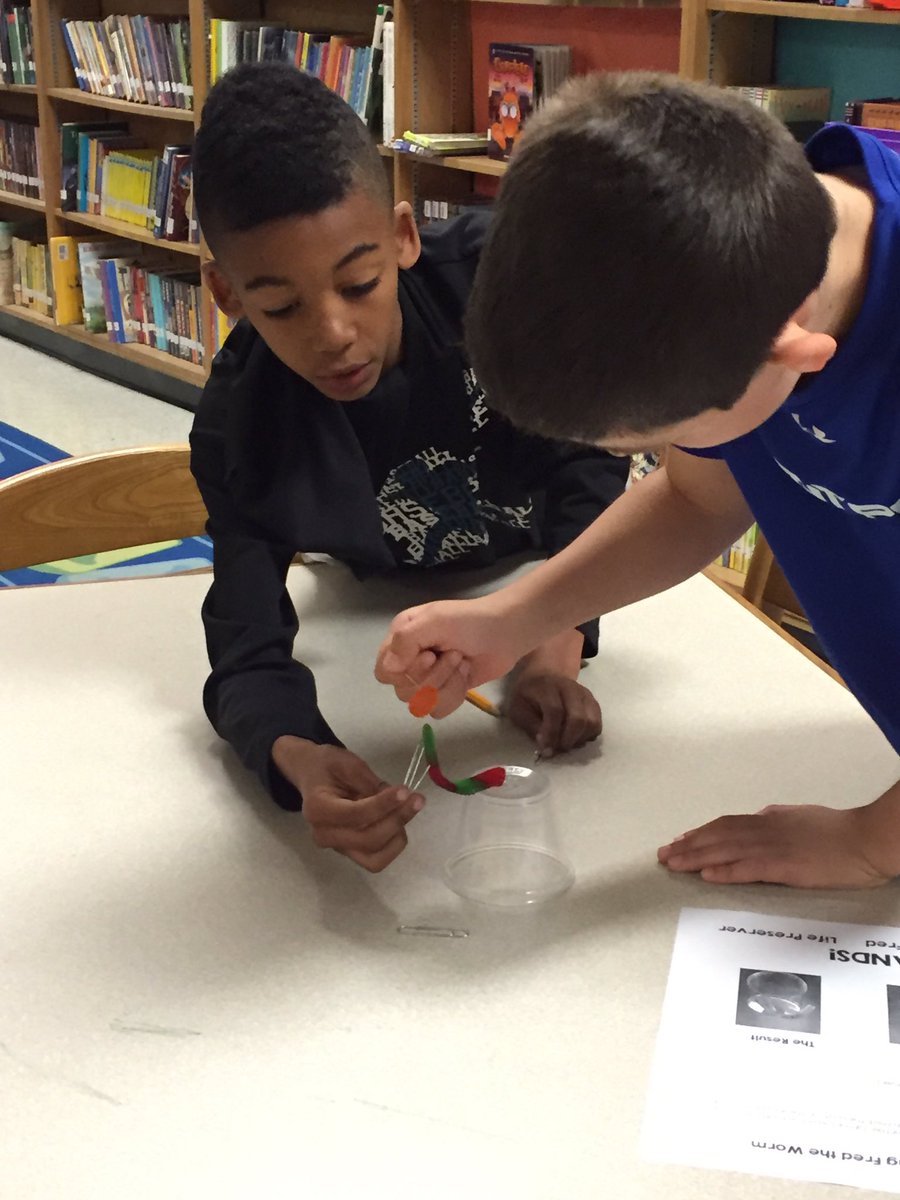 SPES_Library's tweet photo. 3rd grade working together to save Fred! #STEMchallenge #bcpslms @spes0310 https://t.co/whRffr6ETB