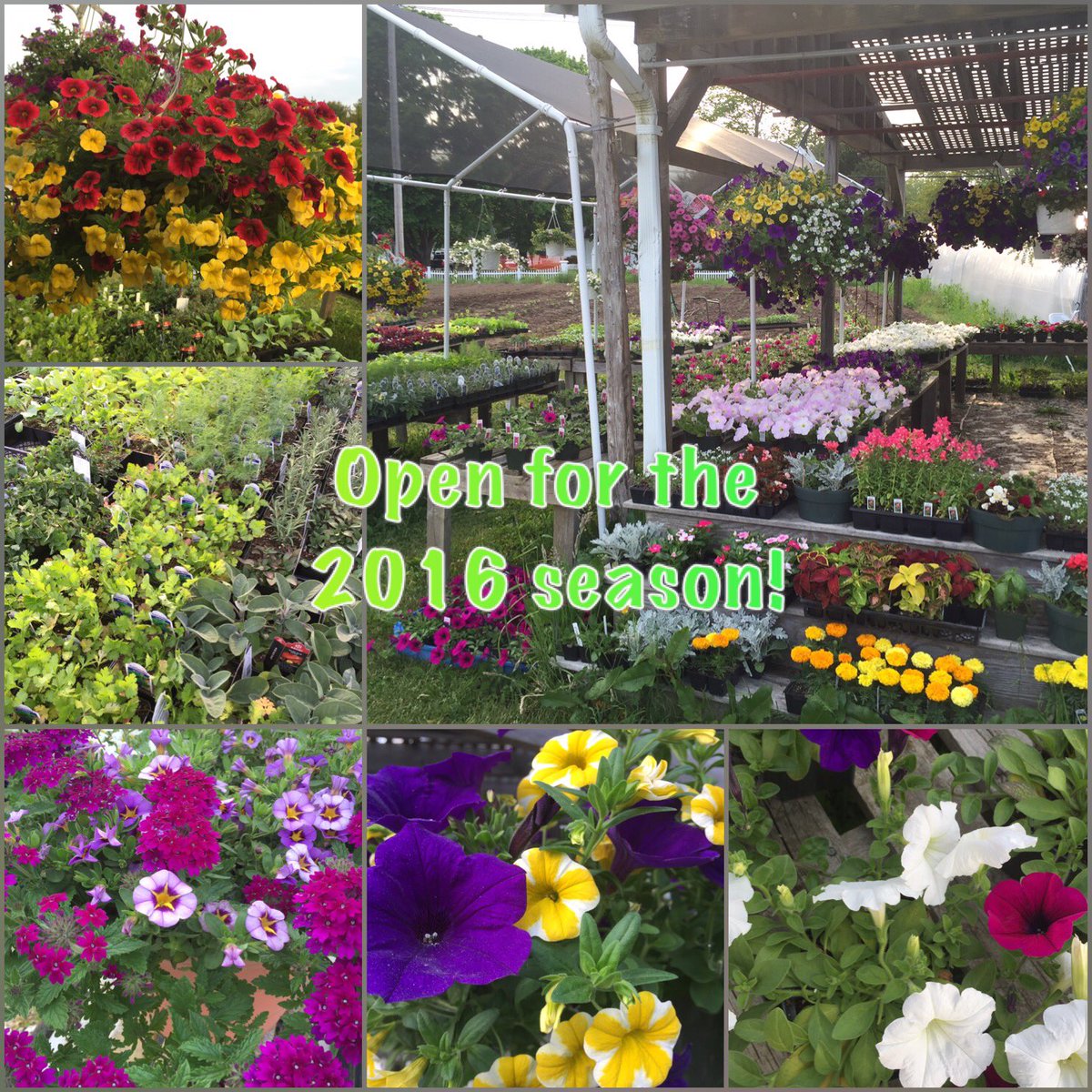 Cretinons Farmstand (@cretinonsfarm) on Twitter photo 