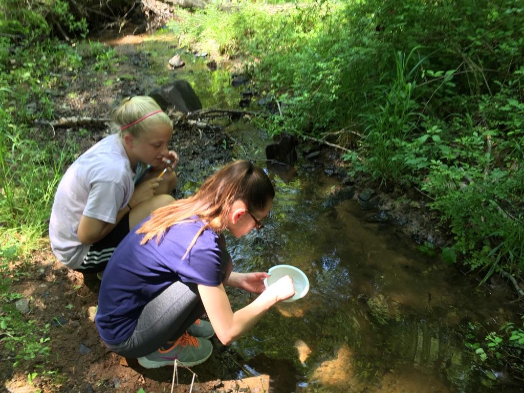 Holland MS tweet media