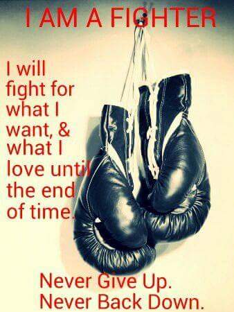 JoannaTimson's tweet photo. @mrdavidhaye #andthenew https://t.co/BdrKlwqiio