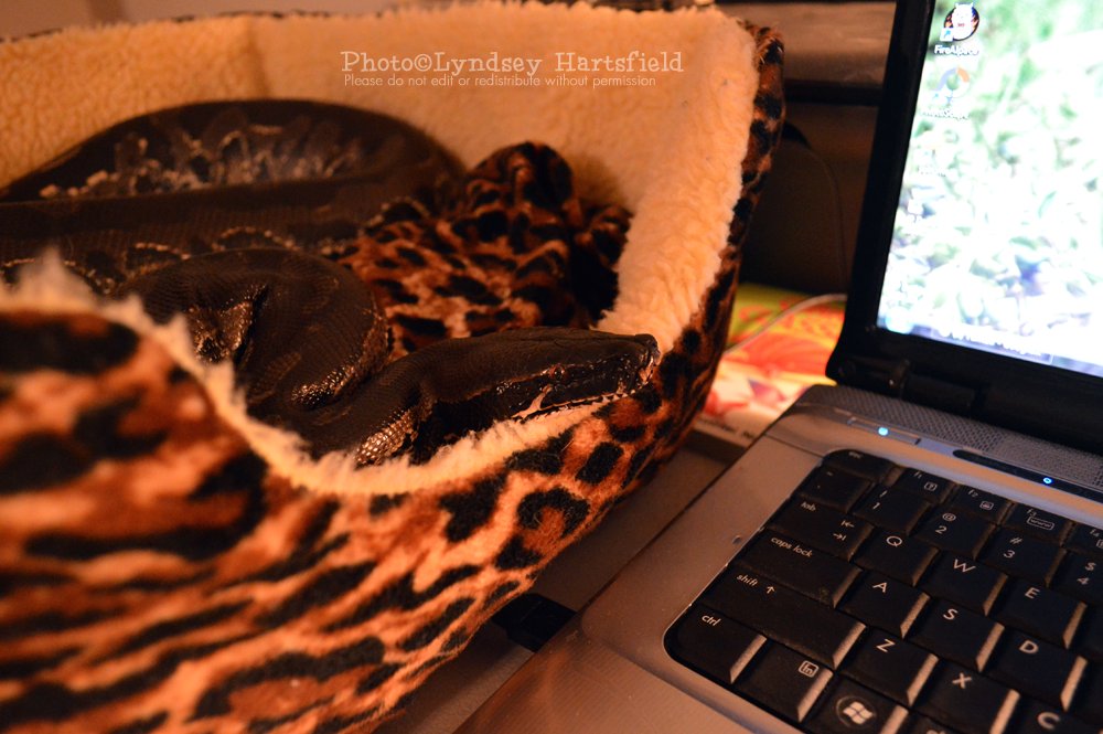 XPunkGoddess's tweet photo. https://t.co/uF3rU3AJd5