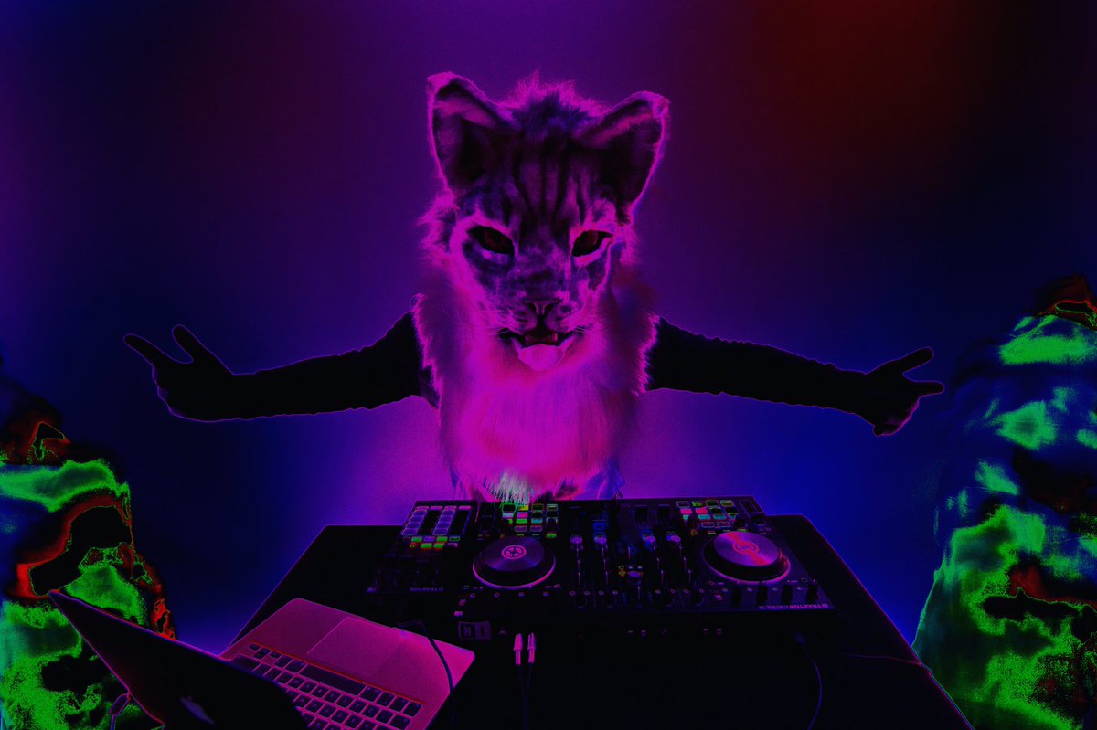 katkanomusic's tweet photo. Gettin wavey 🙀☝️🙀☝🙀☝🙀☝https://t.co/ttatL4eg6W 🙀☝️🙀☝🙀☝🙀☝#cattrippin #cat #trap #hiphop #edm #art #neon #style #beats https://t.co/fduPjc6l6R