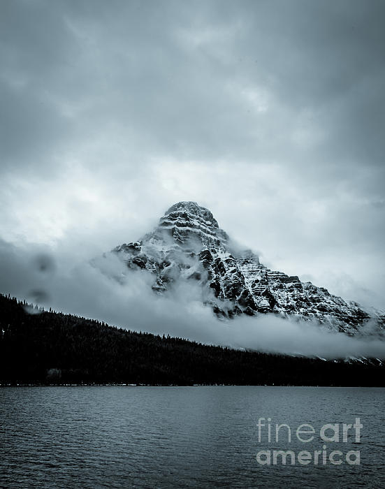 BWebster Photography tweet media