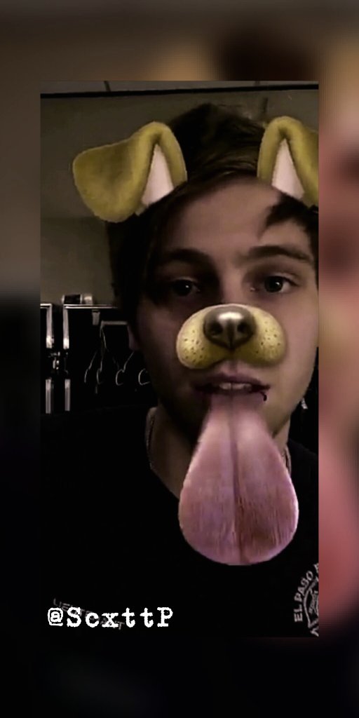 ScxttP's tweet photo. Buenas noches, gente en mi Tl 👋
#ScottieOff
Te amo mucho, bebé gatita @xJupiterSkyx 🙈🙊👉👈💕 https://t.co/WzWVfsqvt2