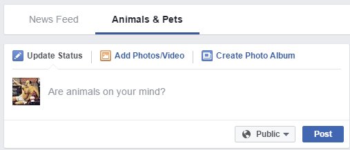 View image on Twitter