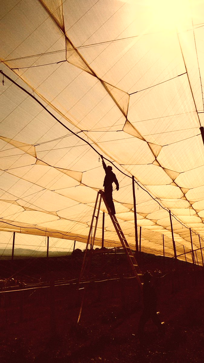 slicky_tk's tweet image. #zinjaningithusi nex!!!!!!