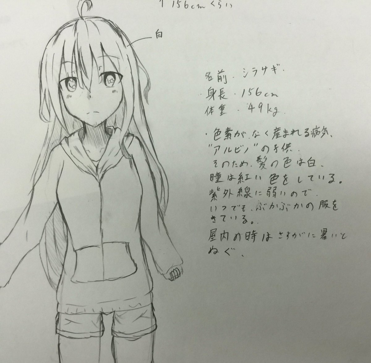 うちの娘、その1の設定が固まった
そのうち、増えていくだろうな〜 