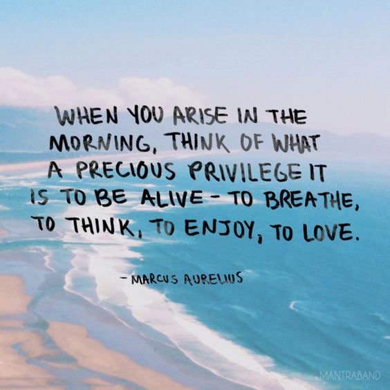 When you arise, think of the precious privilege to be alive! #JoyTrain RT @gary_hensel @malekalby @SusanCosmos